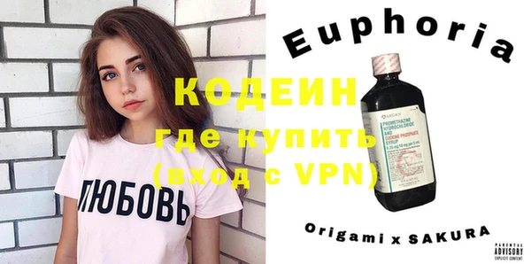 индика Алзамай