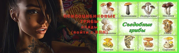 индика Алзамай