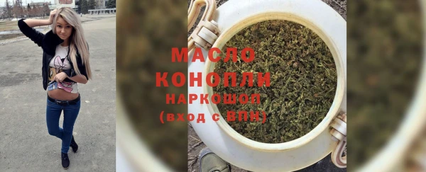 индика Абдулино